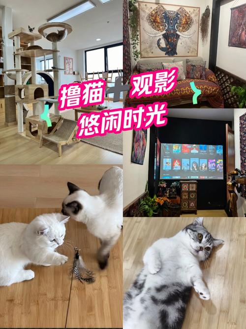 yy4408青苹苹果影院的相关介绍