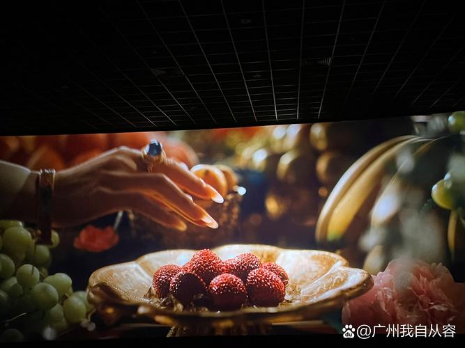 神奇影院的相关介绍