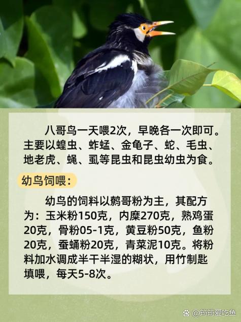 女性内裤每天都有黄色分泌物的相关介绍