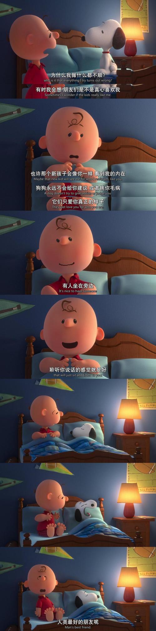 看成人看的毛片的相关介绍