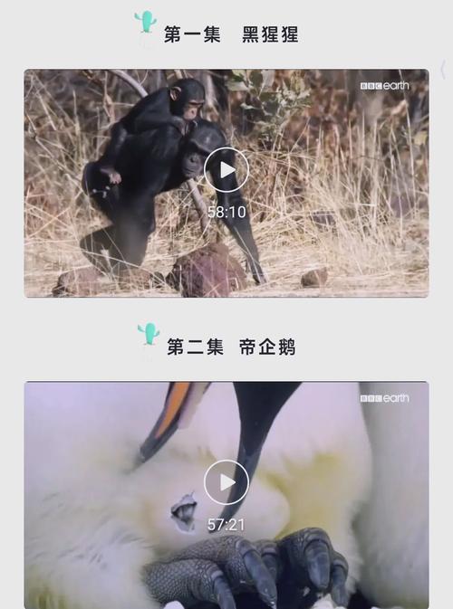 亚洲av丰满熟妇一区的相关介绍