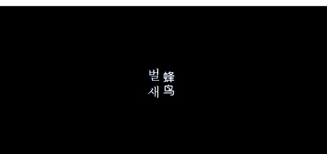 日日啪日日影院日日啪的相关介绍