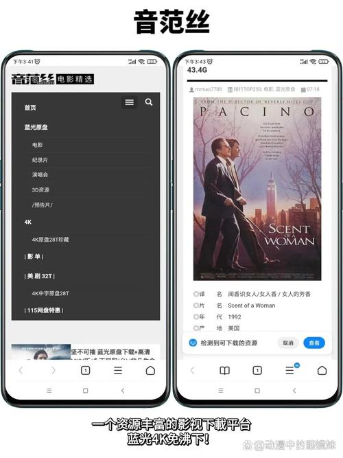 露天影院的相关介绍