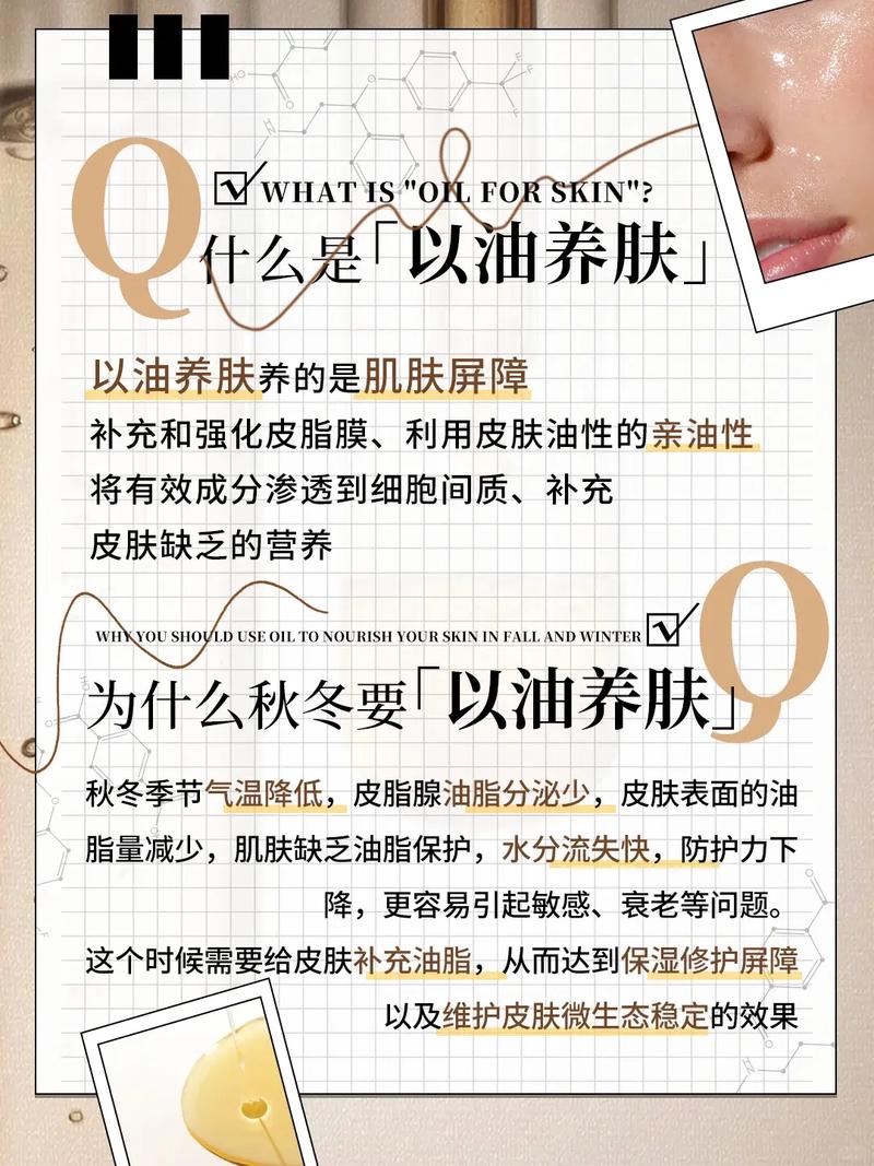 18禁动漫在线免费看的相关介绍