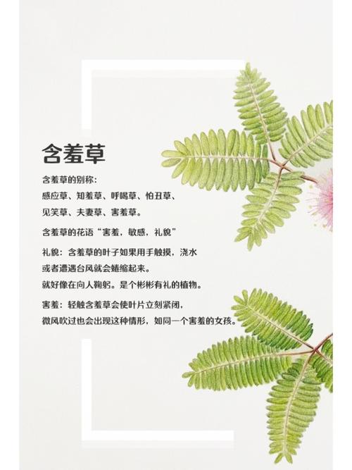 猛男狂操美女的相关介绍