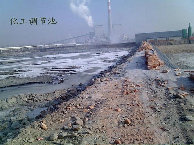 调教嗯啊高h的相关介绍