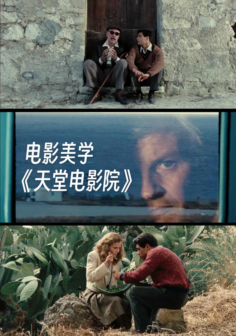 爱情岛毛片的相关介绍