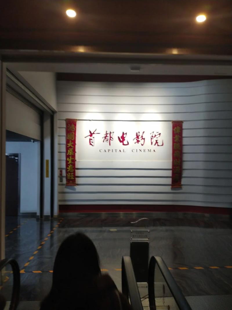 欧洲av一级的相关介绍