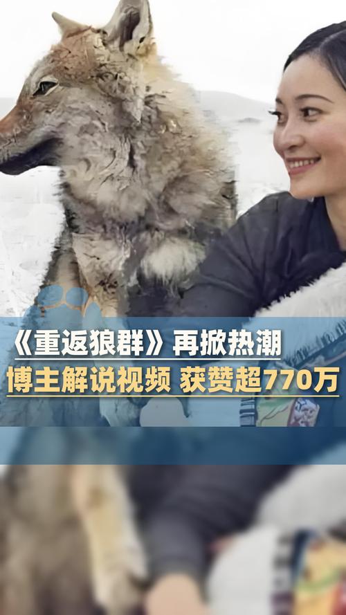 限制浮力第1影院的相关介绍