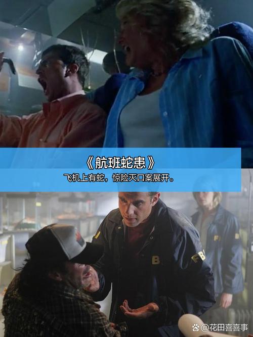 午夜影院高清破解版的相关介绍