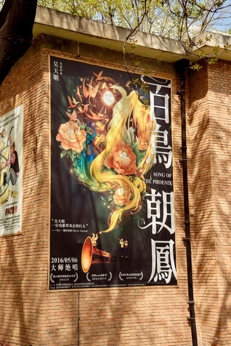 亚洲男人的天堂v的相关介绍