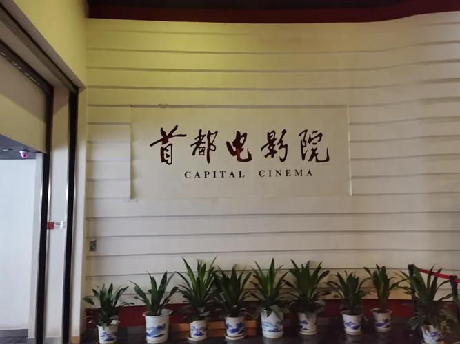 美女被喷满脸精子av的相关介绍