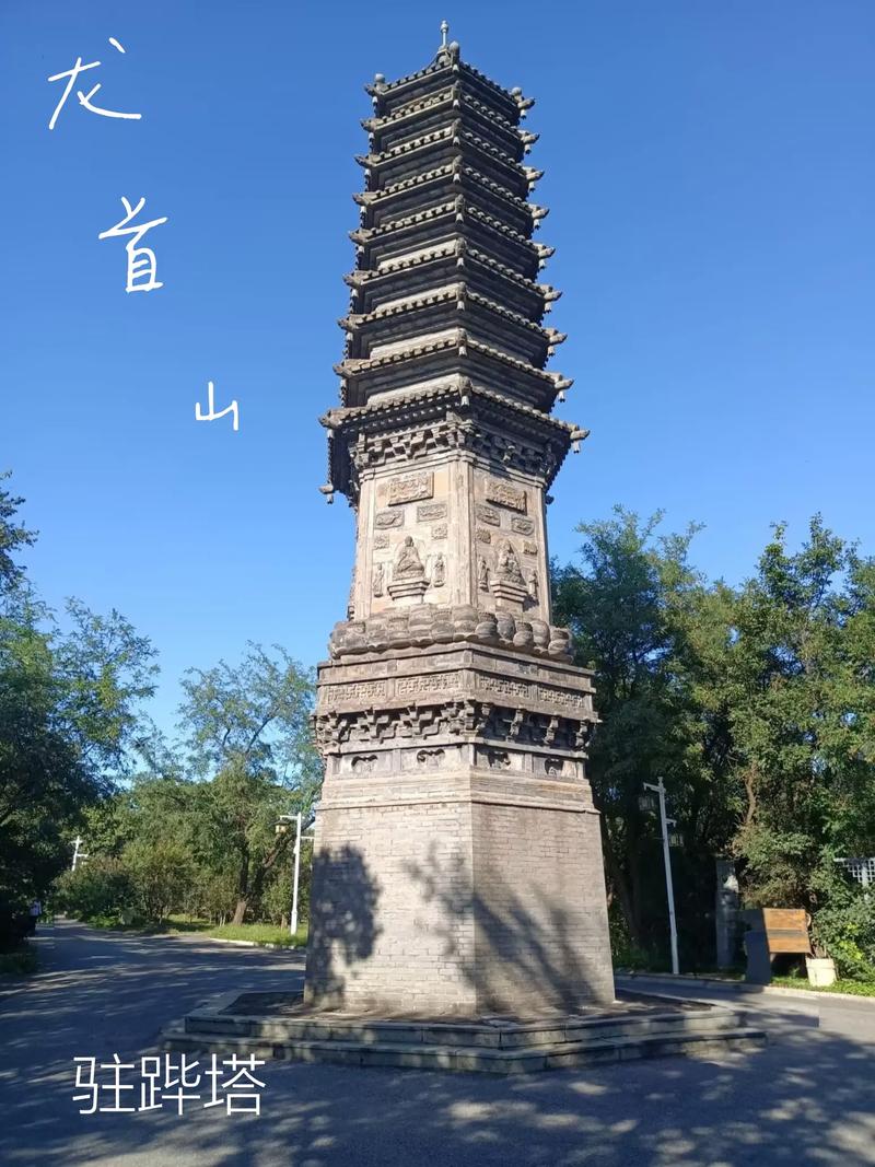 企鹅影院的相关介绍