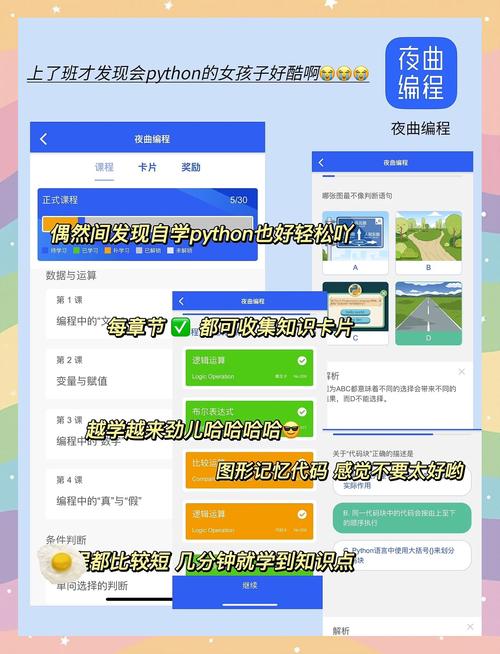 富婆看毛片的相关介绍