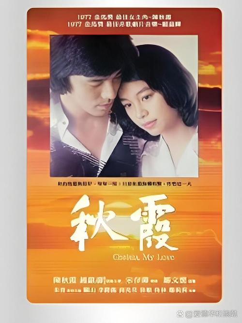 哥哥影院的相关介绍