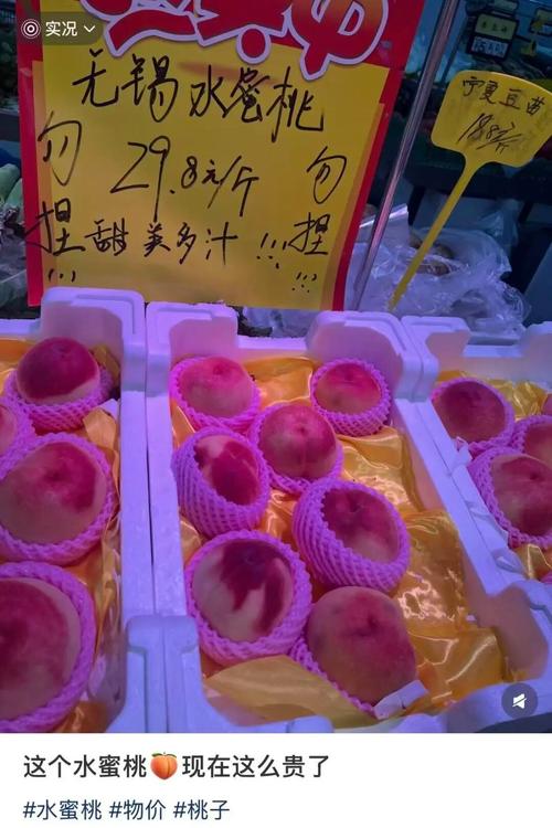 性欧美大战久久久久久久一区二区的相关介绍