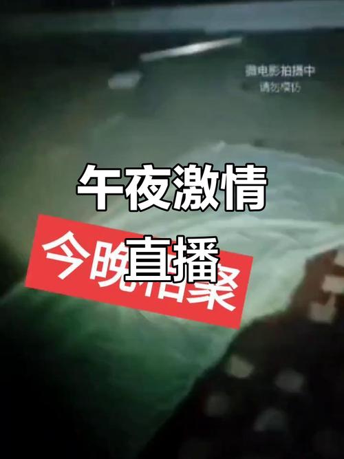 和邻居爱爱小说的相关介绍