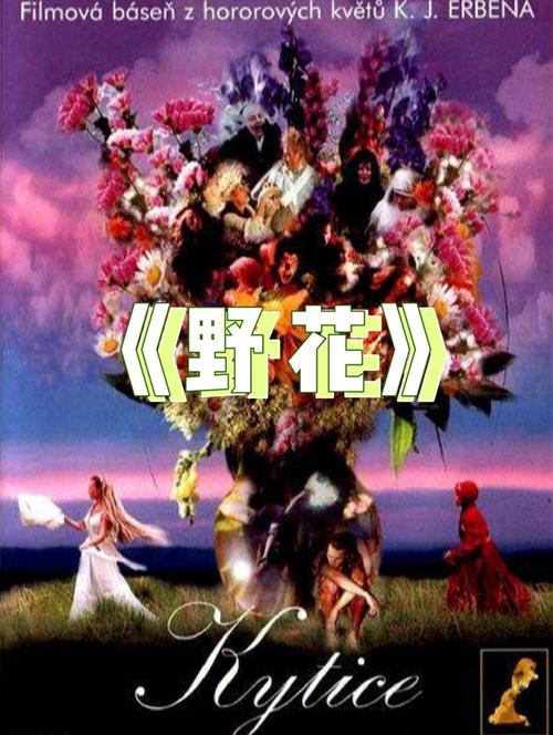 女人啪啪免费看的相关介绍