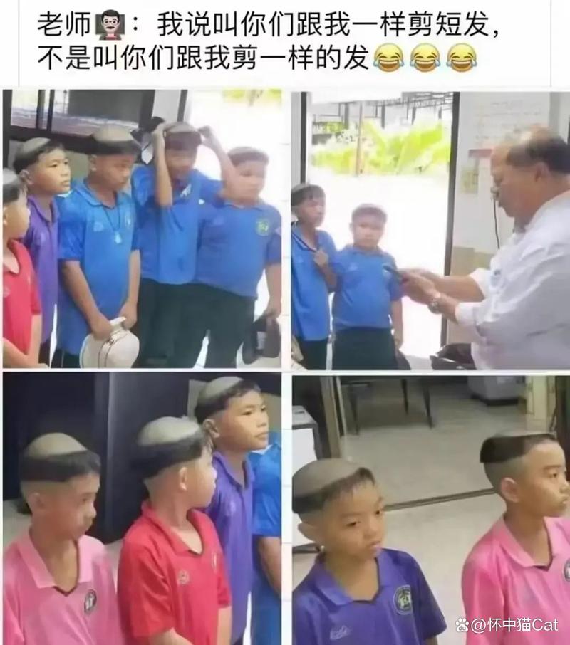 飞利浦家庭影院的相关介绍