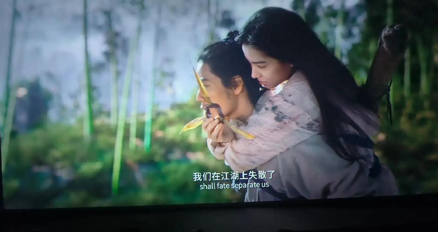 18岁禁止观看在线观看的相关介绍