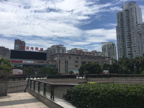 激情小说邻居的相关介绍