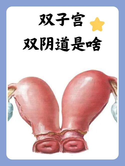 国产一区二区三区在线欧美的相关介绍