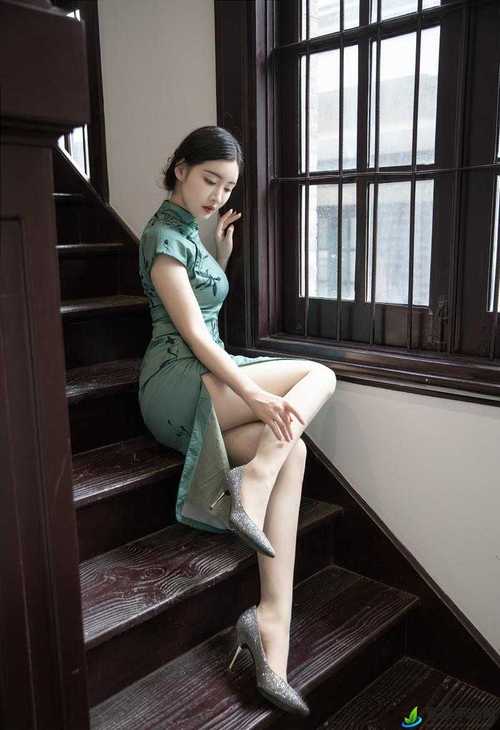 毛片av在线尤物一区二区的相关介绍