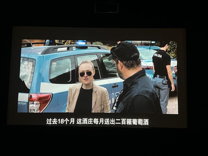 久久久h片的相关介绍