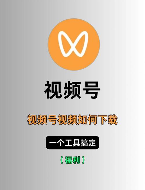 成人影院地址的相关介绍