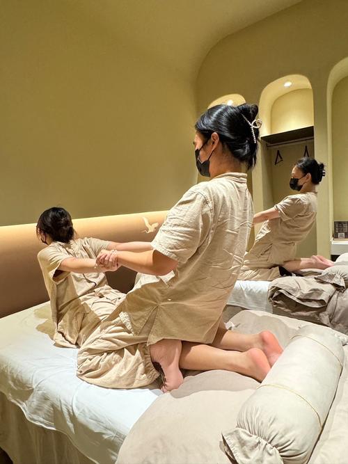 久久草在线影院的相关介绍