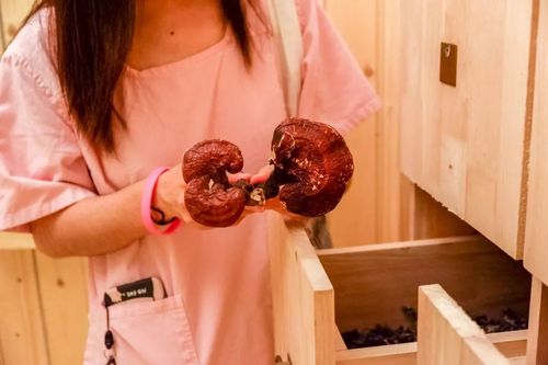 伊人久久大香蕉在线影院首页的相关介绍