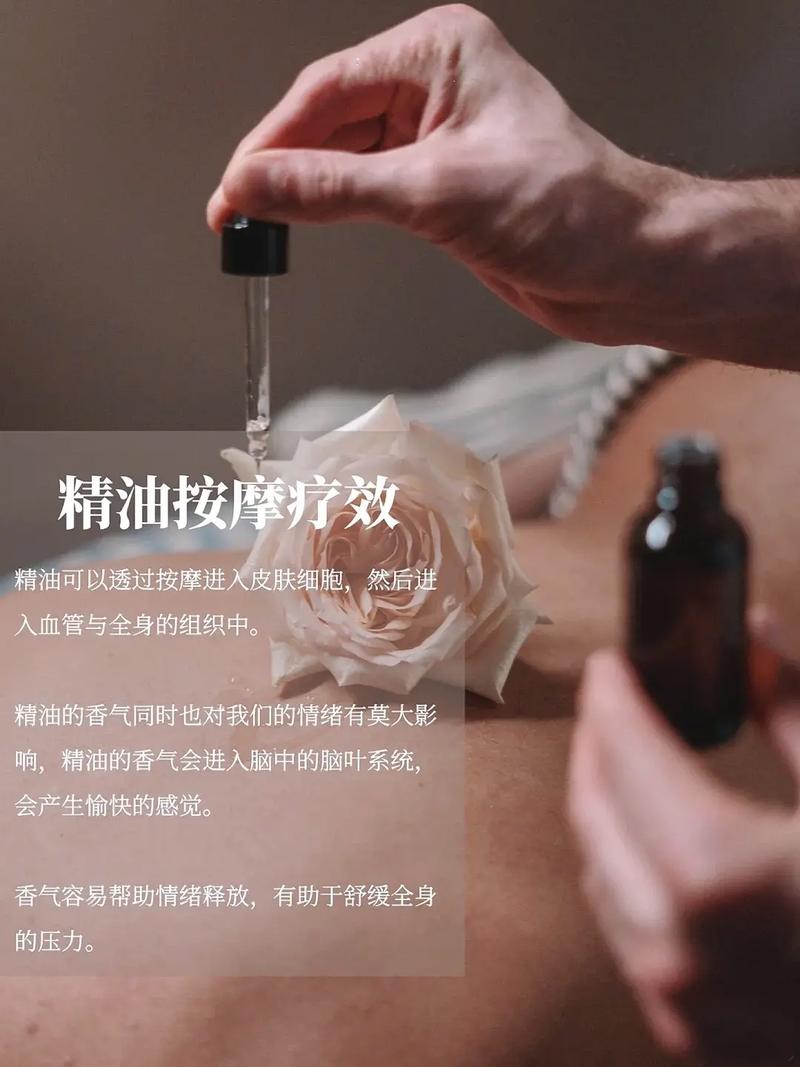 日韩av影院的相关介绍