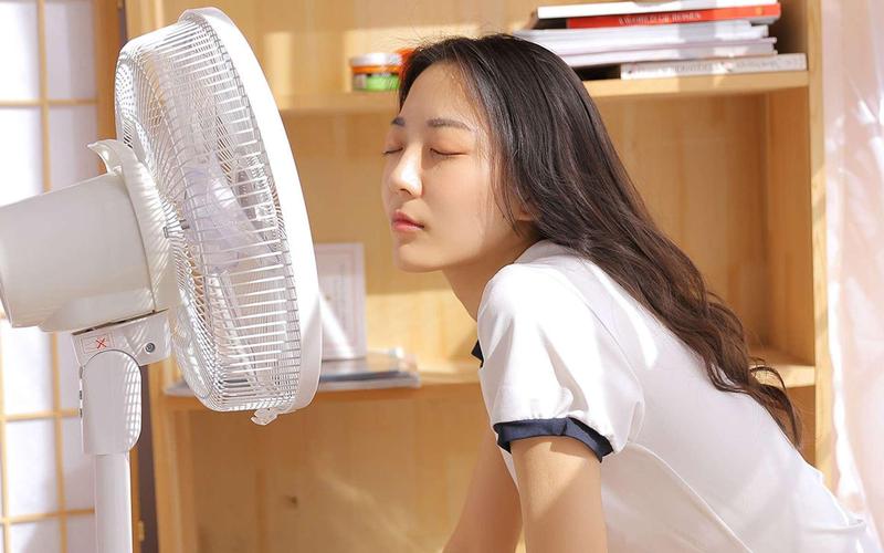 l0nghair发交毛片的相关介绍