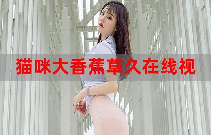 啪啪女老师的相关介绍