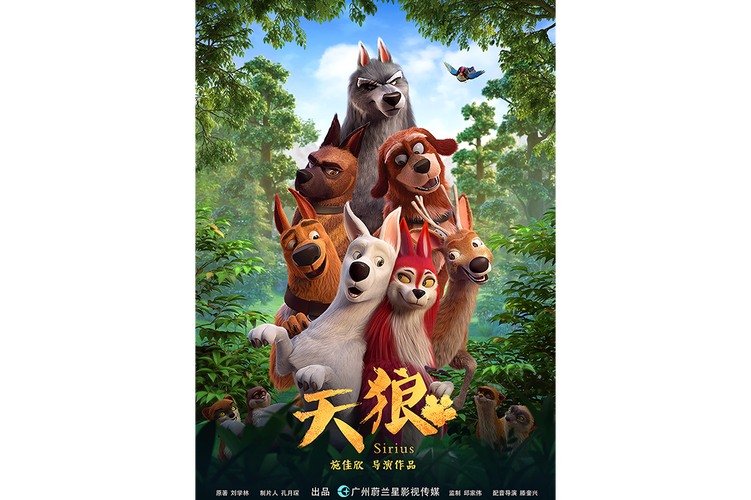 看视频需要下载什么app的相关介绍