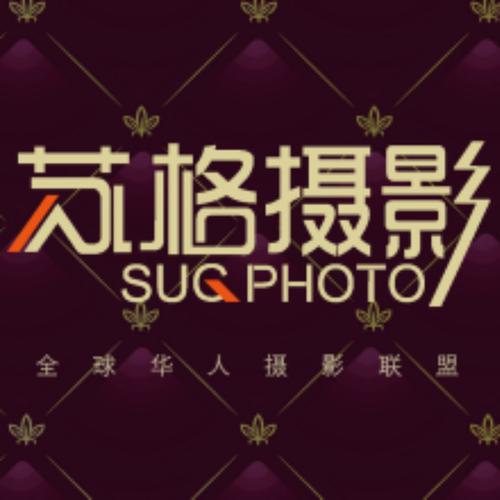 窝窝影院的相关介绍