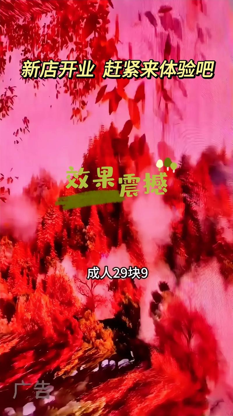 乐吧影院的相关介绍