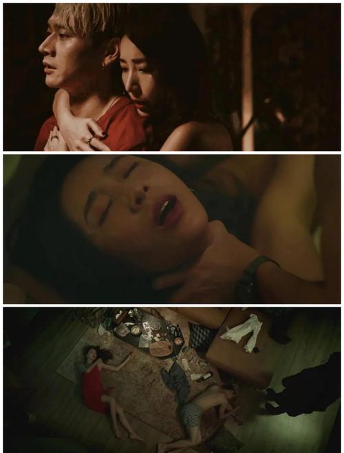 小叶影院的相关介绍