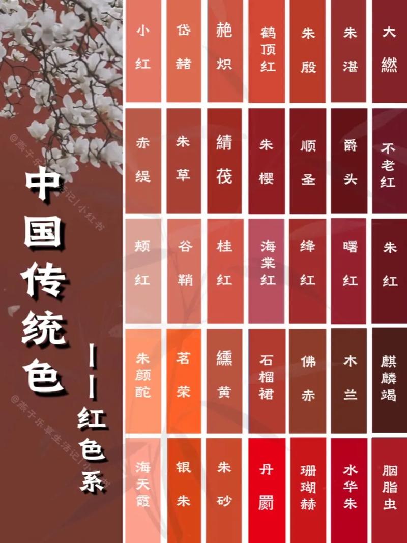 屁股眼的菊蕾可以高潮吗的相关介绍