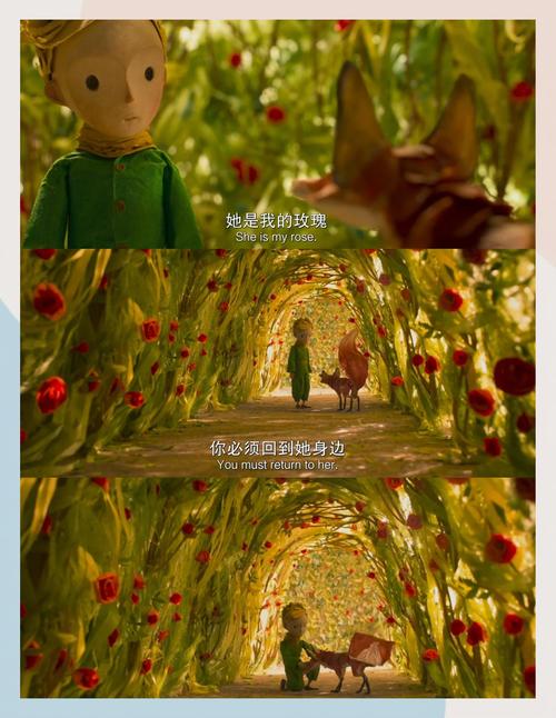 欧美熟妇一区二区三区仙踪林的相关介绍