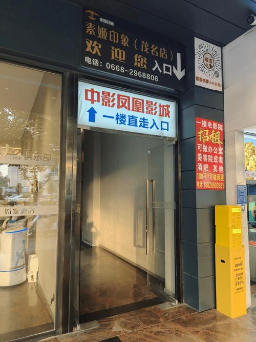 午夜影院先看看的相关介绍