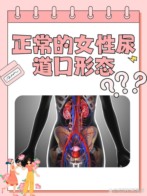 亚洲闷骚少妇av影院的相关介绍