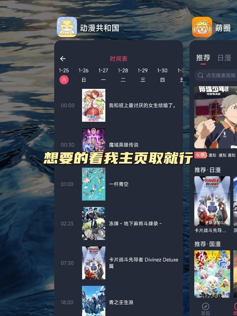 少妇的一级黄片的相关介绍