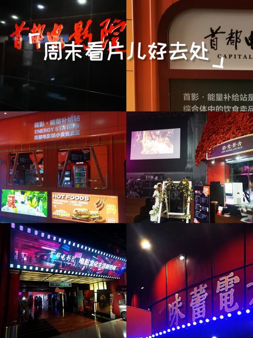动漫影院的相关介绍
