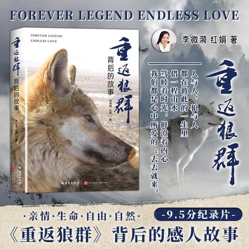 欧美久久图片h的相关介绍