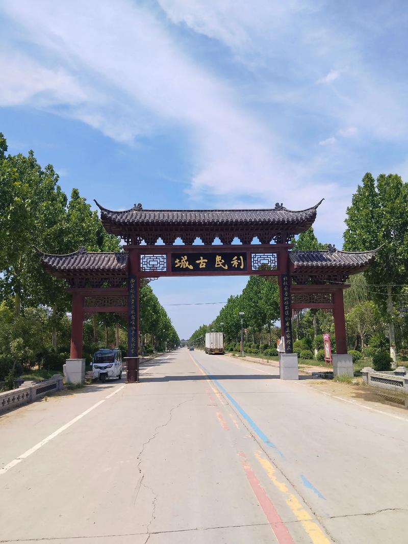 东北老妇女毛片的相关介绍