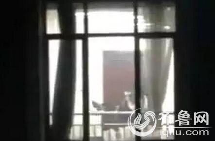 久久综合激情五月天的相关介绍