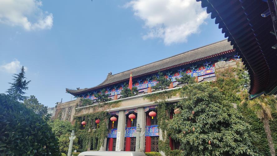 天狼影院2017手机观看轻佻寡妇的相关介绍