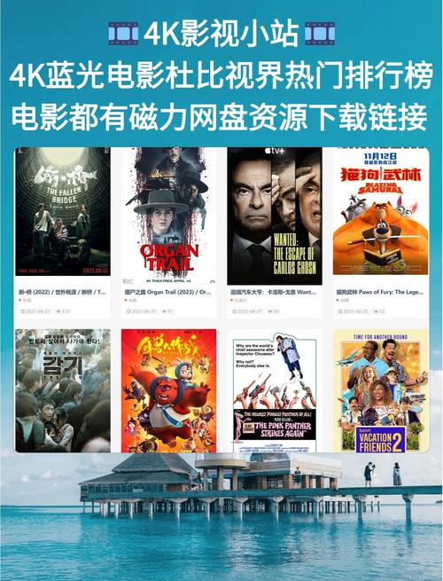撸人妻的相关介绍