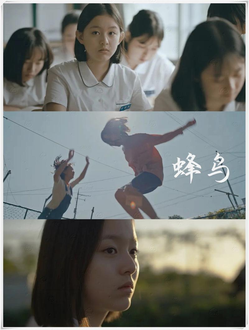 精品久久av专区的相关介绍